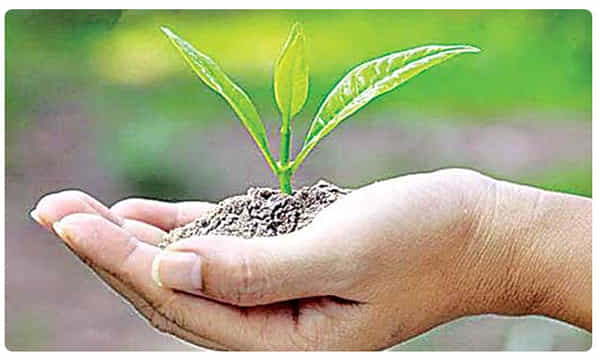 ఆన్లైన్లో సేంద్రియ వ్యవసాయం శిక్షణ.. అప్లై చేసుకోండిలా