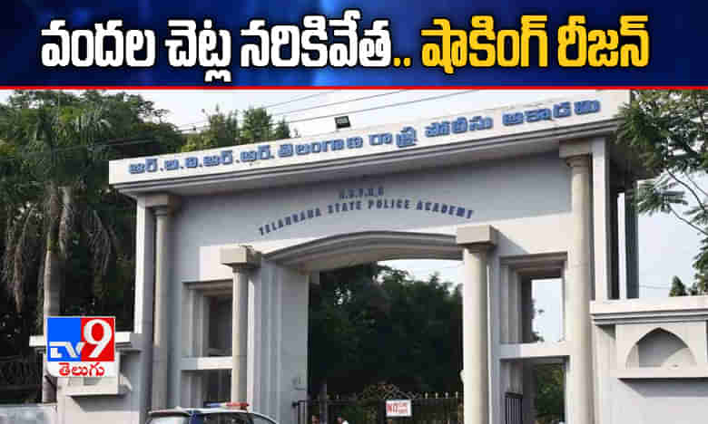 తెలంగాణ పోలీస్‌ అకాడమీలో వందల చెట్ల నరికివేత.. షాకింగ్ రీజన్‌