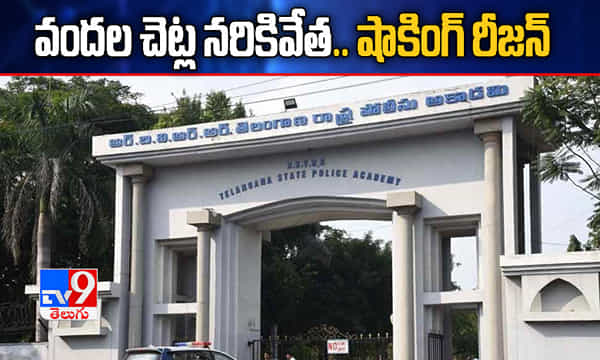 తెలంగాణ పోలీస్ అకాడమీలో వందల చెట్ల నరికివేత.. షాకింగ్ రీజన్