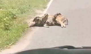 ప్రైవేట్ ఆస్పత్రి నుంచి వస్తే నో టెస్ట్ – King Koti ఆస్పత్రిలో నోటీస్