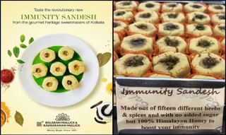 జింబాబ్వే టూర్ రద్దు చేసిన బీసీసీఐ