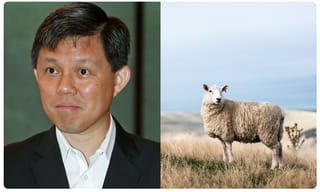 తెలంగాణ ఆవిర్భావ దినోత్సవ వేడుకలు.. అమరవీరులకు నివాళులర్పించిన సీఎం