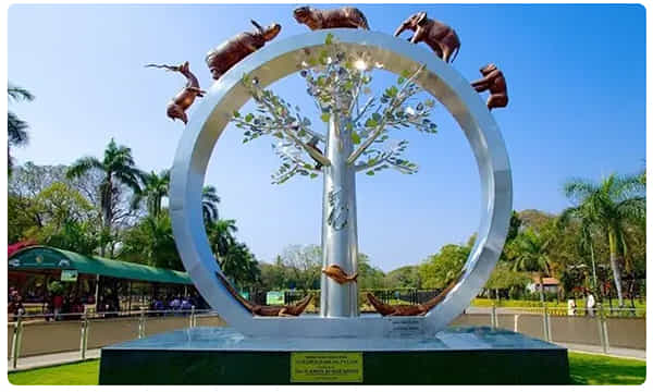 కట్టడిలో కరోనా...ఆన్లైన్లో ‘జూ’ టికెట్లు