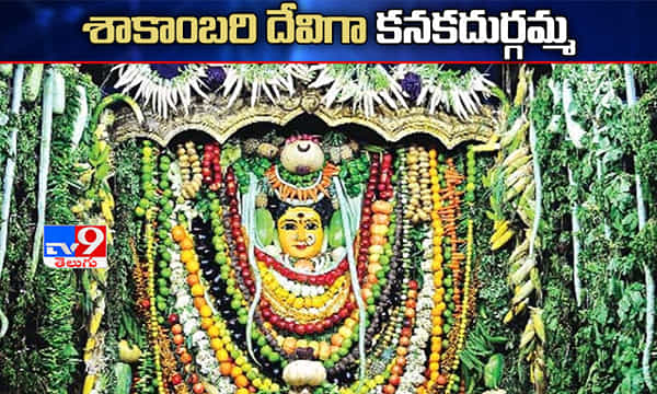 శాకాంబరి దేవిగా కనకదుర్గమ్మ దర్శనం