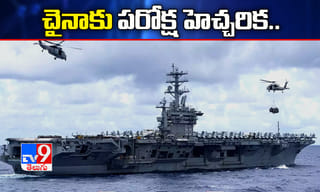 అరుదైన జాతికి చెందిన తాబేలు…బంగారు వర్ణంతో ఇలా..!