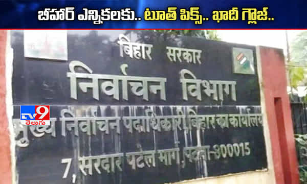 బీహార్ అసెంబ్లీ ఎన్నికలకు టూత్ పిక్స్, ఖాదీ గ్లోవ్స్