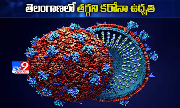 తెలంగాణలో కొత్తగా 1213 కరోనా కేసులు