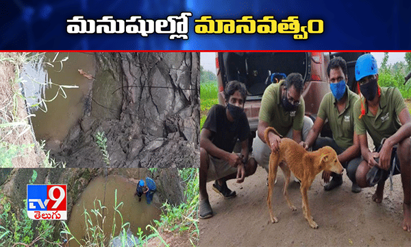 మానవత్వానికి ప్రతీక..మూగజీవి కోసం 150కి.మీల ప్రయాణం
