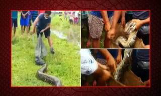 అల్లు అర్జున్‌ని ఒక్క ఛాన్స్ ఇవ్వ‌మ‌న్న బాలీవుడ్ ఫేమ‌స్ డైర‌క్ట‌ర్‌..