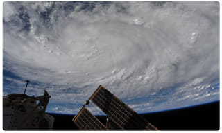 అత్యంత రుచిక‌ర‌మైన 800 కిలోల అరుదైన చేప.. ధర 20 ల‌క్ష‌ల పైనే..!