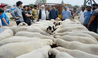 బ్రెజిల్‌లో కరోనా విలయ తాండవం.. 26 లక్షలు దాటిన కేసులు