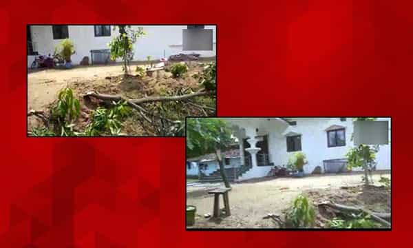 బీజేపీ ఎంపీ ఇంట్లో గజరాజు బీభత్సం..