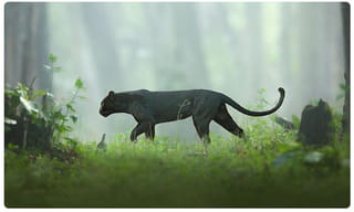 లక్ష దాటిన ఢిల్లీ కరోనా కేసులు