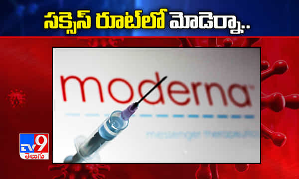 సక్సెస్ రూట్ లో మోడెర్నా కరోనా వ్యాక్సీన్ ? కోతులపై ట్రయల్స్ !