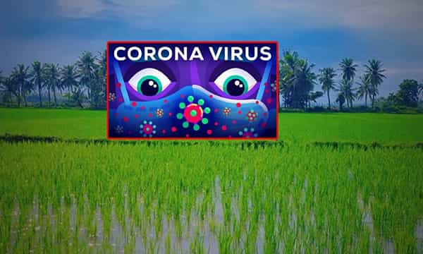 ఏపీలోని ఆ జిల్లాలో కరోనా కల్లోలం.. 26 వేలకు చేరువలో పాజిటివ్ కేసులు..!