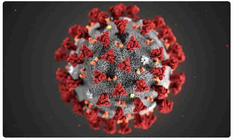 విజయవాడను వణకిస్తోన్న వైరస్...ఆ 11 ప్రాంతాల్లో ఆంక్షలు