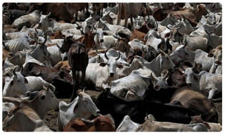 ఇలాంటి మెసేజ్‌లతో జాగ్రత్త..సైబర్ పోలీసుల హెచ్చరిక