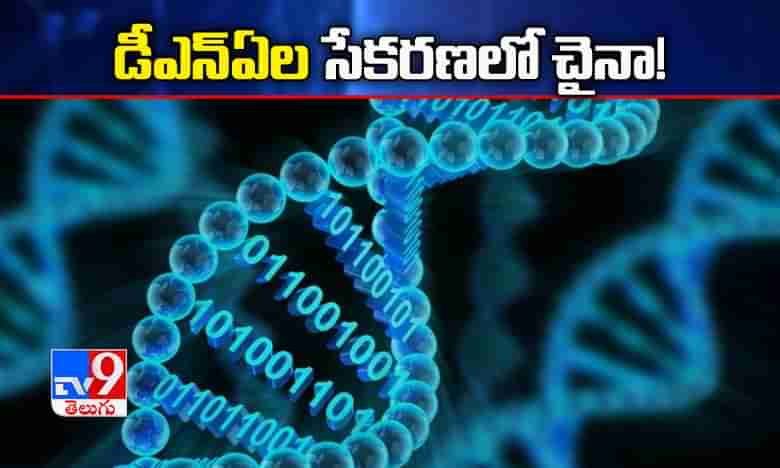 లక్షలాది డీఎన్ఏల సేకరణలో చైనా ! ఎందుకు ?