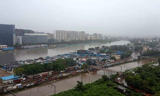 ‘కోవిడ్‌ 19’ ఆసుపత్రిలో పందుల స్వైరవిహారం.. వీడియో వైరల్‌