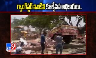 జీ4 వైరస్‌ కొత్తేమి కాదు.. కరోనాలా వ్యాపించదు..