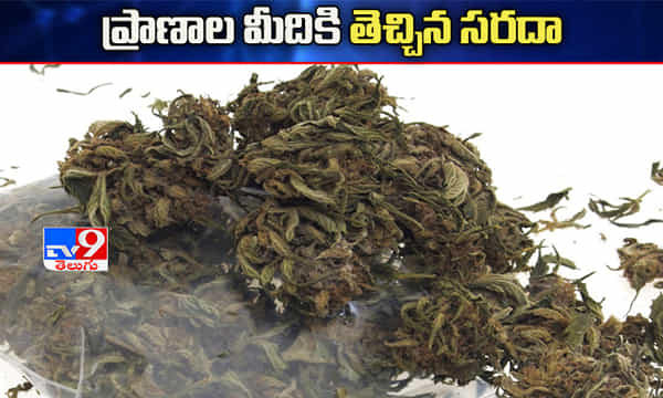 బావ-బావమరిదిల సరదా ప్రాణాల మీదికి తెచ్చింది..!