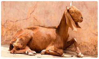 నిరుద్యోగులకు గమనిక: ఈ ఉద్యోగ దరఖాస్తులకు 2 రోజులే గడువు..