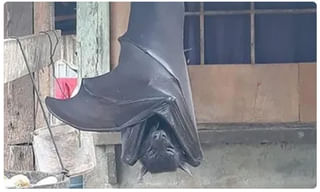 కరోనా మృతుల అంత్యక్రియలపై ఏపీ ప్రభుత్వం సూచనలు..