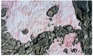 మాస్కు ధరించకుంటే.. కరోనా ఆస్పత్రిలో సేవ చేయాల్సిందే..!