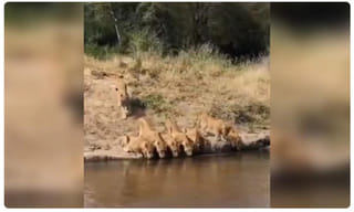 హైదరాబాద్‌లో.. 65 కేంద్రాల్లో ర్యాపిడ్‌ యాంటిజన్‌ పరీక్షలు..