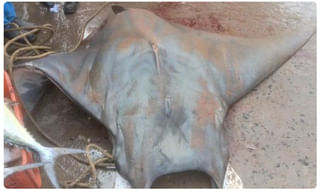 కరోనాతో ఎస్బీఐ జోనల్ ఆఫీస్ అధికారి మృతి.. మూడు బ్రాంచ్‌ల్లో టెన్షన్‌