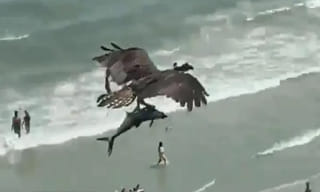 ఏడేళ్ల చిన్నారిపై అఘాయిత్యానికి యత్నించిన కామాంధుడు