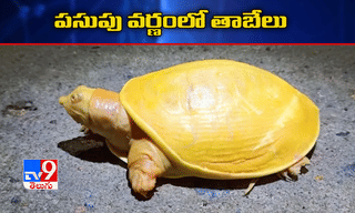 ‘సూసైడ్ ఆర్ మర్డర్’.. సుశాంత్ బయోపిక్ ఫస్ట్ లుక్ విడుదల..