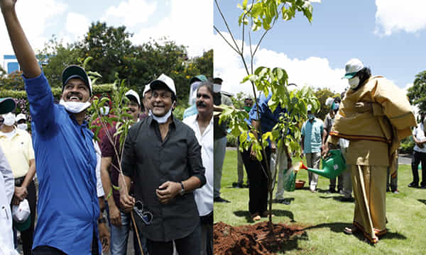 గ్రీన్ ఇండియా ఛాలెంజ్లో పాల్గొన్న మెగాస్టార్, పవర్ స్టార్