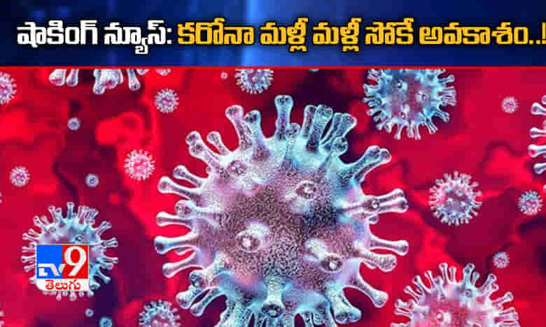 షాకింగ్ న్యూస్.. కరోనా మళ్లీ మళ్లీ సోకే అవకాశం