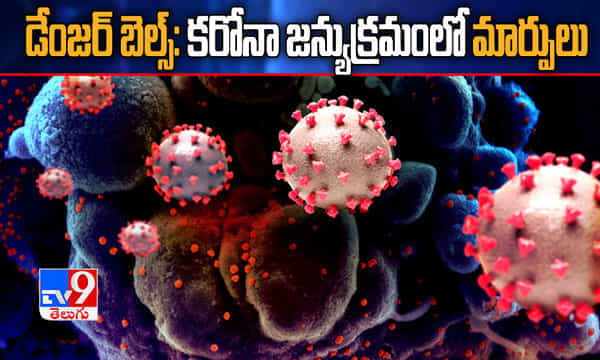 కరోనా జన్యుక్రమంలో మార్పులు.. పుట్టుకొచ్చిన మరో కొత్త రకం వైరస్