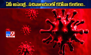 జెనీలియా దంపతుల కీలక నిర్ణయం.. సూపర్ అంటోన్న నెటిజన్లు