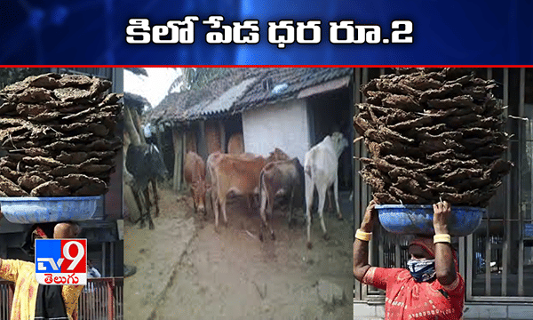 పేడ ధర పెంపు ! ..గోధన్ న్యాయ్ యోజనకు కేబినెట్ ఆమోదం..
