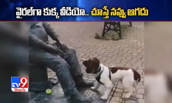 విగ్రహమని తెలీక.. నవ్వులు పూయిస్తోన్న కుక్క వీడియో