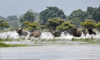 కరోనా కట్టడికి చౌక ఔషధం.. 200 మిల్లీ గ్రాముల టాబ్లెట్‌ ధర 59 రూపాయలు..