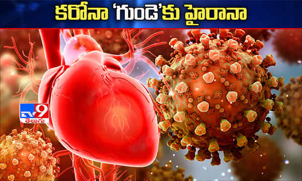 కరోనా:‘సెన్సిటివ్ గుండె’కు తప్పదు హైరానా !.. స్టడిలో తేలిన నిజం!