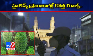 మరోసారి పెరిగిన డీజిల్ ధరలు..