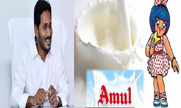 అముల్తో ఏపీ సర్కార్ ఒప్పందం