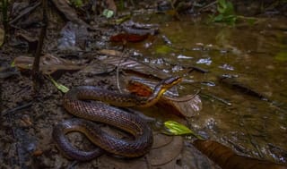 కర్ణాటకలో కరోనా కలకలం.. ఒక్కరోజులో 2,627 కేసులు, 71 మరణాలు..