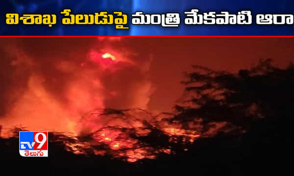 Visakha Accident: విశాఖ ప్రమాదంపై మంత్రి మేకపాటి ఆరా
