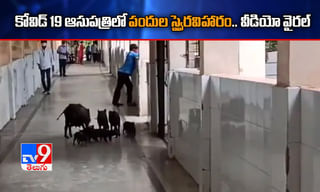 ఈ నెల 25న ఇంటర్‌ రీవెరిఫికేషన్, రీకౌంటింగ్‌ ఫలితాలు..