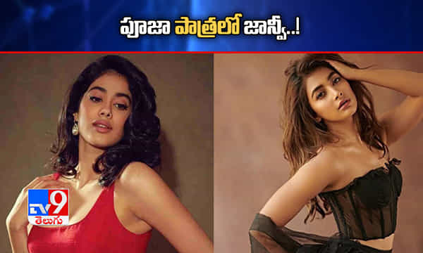 పూజా పాత్రలో జాన్వీ!