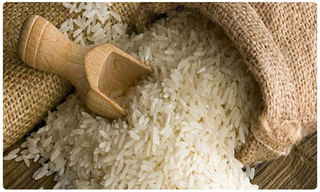 ఇద్దరు దుంగ‌ల దొంగ‌లు దొరికారు..విచారణ‌లో కీల‌క విష‌యాలు..