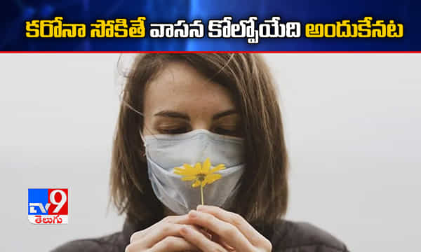 కరోనా వస్తే వాసన కోల్పోయేది అందుకేనట