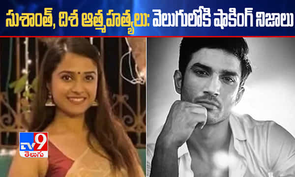 సుశాంత్, దిశ ఆత్మహత్యలు: వెలుగులోకి షాకింగ్ విషయాలు