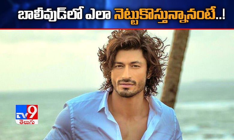 స్టార్ తనయుడిని కాకపోయినా.. బాలీవుడ్లో ఎలా నెట్టుకొస్తున్నానంటే..